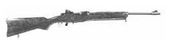 Ruger Mini-14,